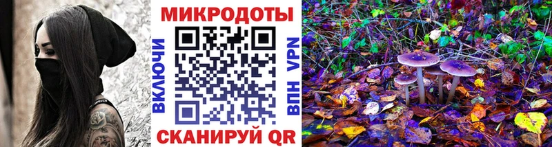 Псилоцибиновые грибы GOLDEN TEACHER  Плёс 
